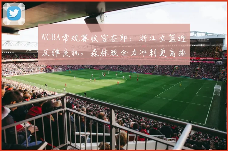 WCBA常规赛收官在即，浙江女篮迎反弹良机，森林狼全力冲刺更高排名